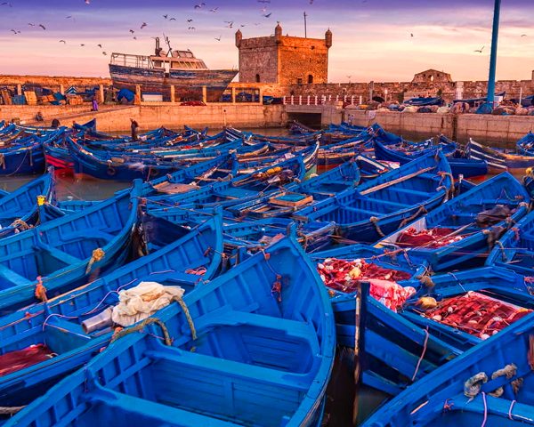 2 Days Tour From Agadir to Essaouira And Marrakech