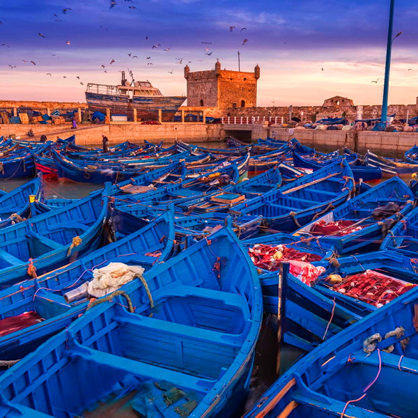 2 Days Tour From Agadir to Essaouira And Marrakech
