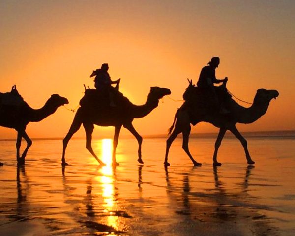 Activity Agadir Sunset Camel Ride with Seamless Transfers