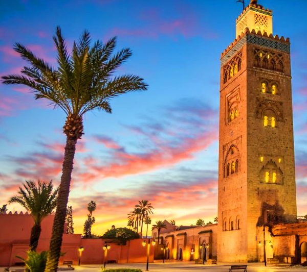 Day Trip From Agadir To Marrakech