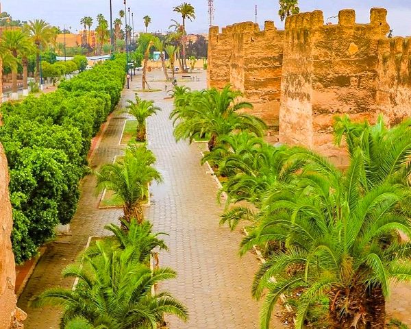 Day Trip From Agadir To Taroudant & Tiout