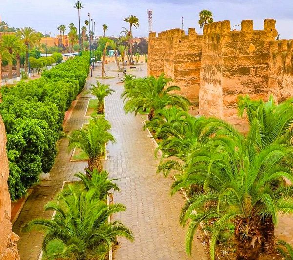 Day Trip From Agadir To Taroudant And Tiout