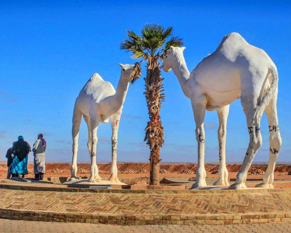 Day Trip To Mini Sahara with Lunch From Agadir